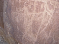 Eagle Petroglyph